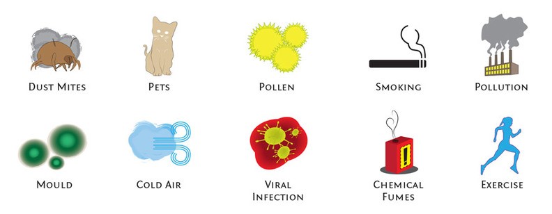 Illustration of asthma triggers: Dust Mites, Pets, Pollen, Smoking, Pollution, Mould, Cold Air, Viral Infection, Chemical Fumes, Exercise
