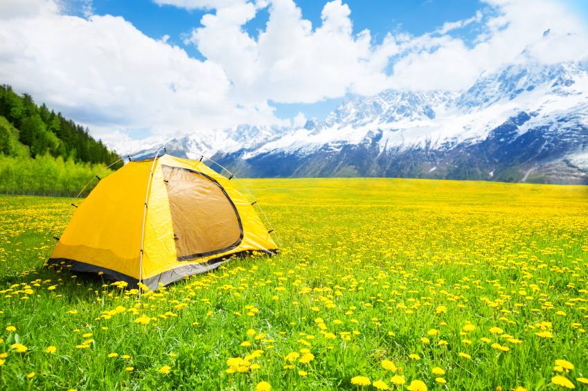 Camping tent in the nice yellow dandelion field with mountains on background