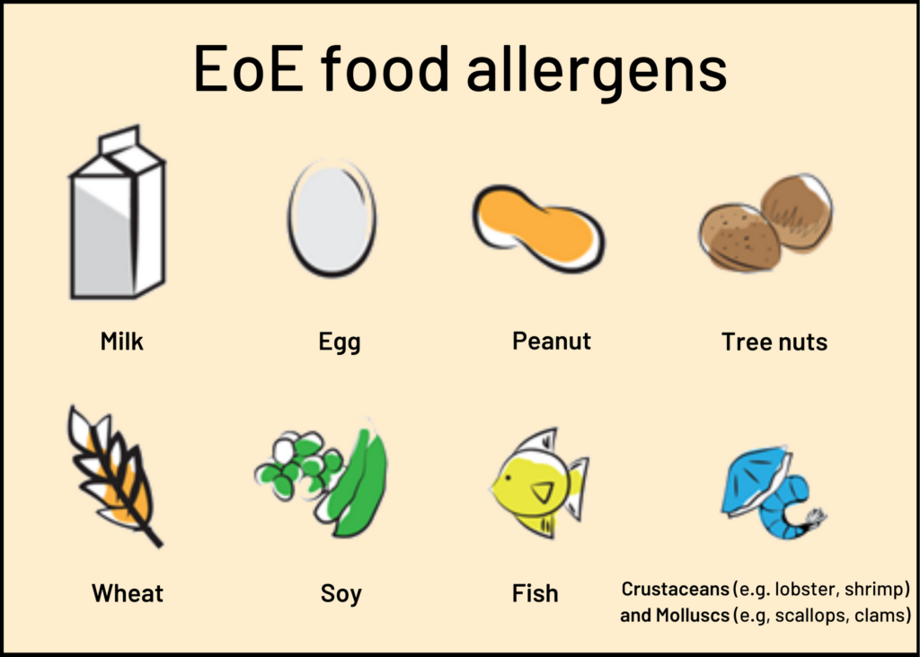 EoE food allergens