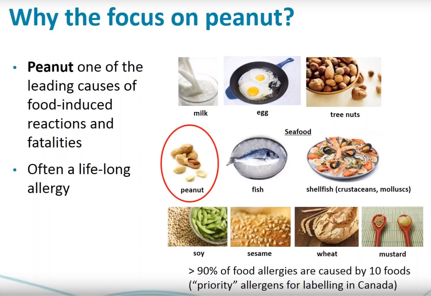 Introduction des aliments - Food Allergy Canada